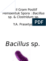 Basil Gram Positif Pembentuk Spora