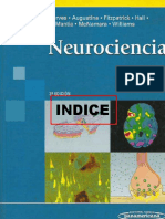 Neurociencia PDF