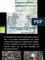 Comunicacao_Oficina_Producao_Caseira.pdf
