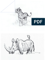 Sketch Animals