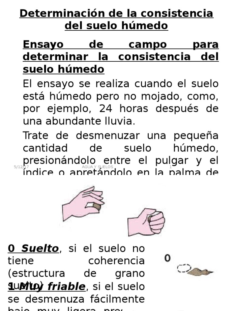 Consistencia y Parámetros del Suelo | PDF | Enzima | Suelo