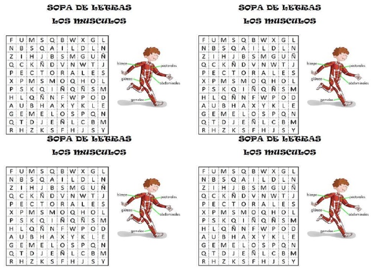 Sopa de Letras Musculos | PDF