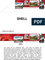 Shells Sep 16