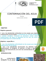 Contaminación Del Agua (Ríos)