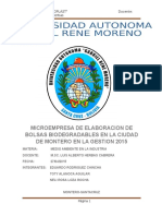 POYECTO  DE MEDIO AMBIENTE ULTIMO.docx