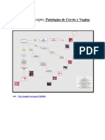 Mapa de Concepto Cervix y Vagina