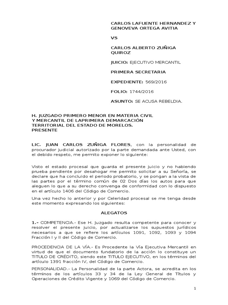 Escrito De Alegatos En Materia Laboral Parte Actora Material Colección