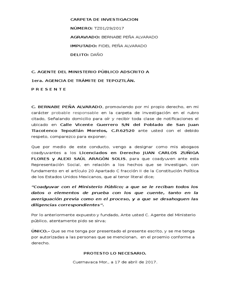 Autorizacion de Abogado en Materia Penal Tia PDF
