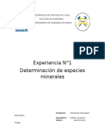 Informe Experiencia N°1 Laboratorio de Geología Económica 