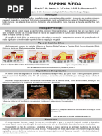 Banner espinha bífida