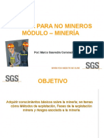 Presentación Minería