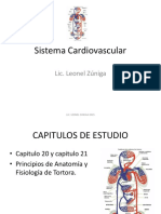 6.BI-II SISTEMA CARDIOVASCULAR 2015(1).pdf