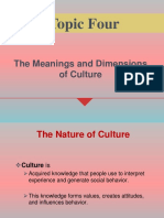 Topic 4 (culture) - pdf.pdf