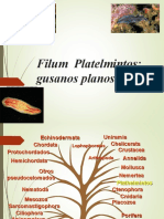 Platelmintos