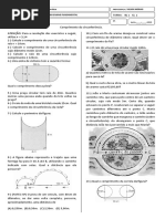 Comprimento Da Circunferencia