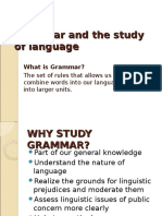 Grammar and The Study of Language