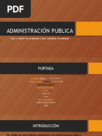 Administración Publica Fase 3 Grupal