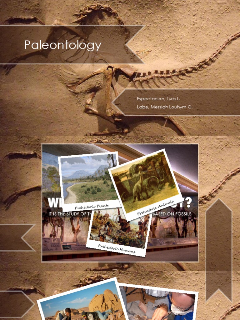 An Introduction to Paleontology Exploring the Study of Ancient Life Through Fossil Evidence PDF