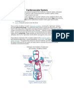 Cardiovascular System: Blood Blood Vessels