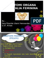 Anatomi Organa Genitalia Feminina