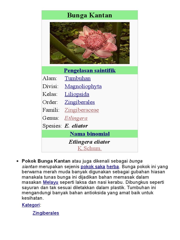 Bunga Kantan