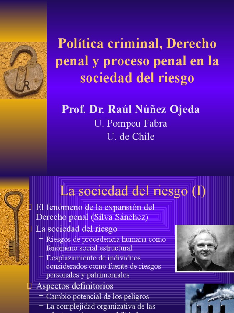 Expansión del Derecho Penal en Riesgo | PDF | Derecho penal | Sociedad