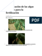 La aplicación de las algas marinas para la fertilización.docx