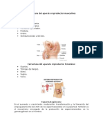 Aparatos reproductores y procesos reproductivos