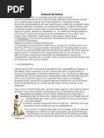 Evolución del Hombre.docx
