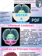 sistema-limbico-Autoguardado.pptx