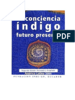 La Conciencia Indigo Libro PDF