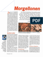 Morgellon Artikel in Raum Und Zeit PDF