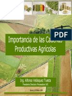 Importancia Cadenas Product I Vas Agricolas