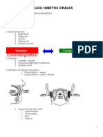 2 Malos Habitos Orales-7