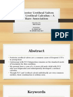 MAJU UROLOGI (Posterior Urethral Valves With Urethral Calculus)