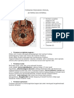 Foramen Pada Basis Cranial (Anatomi)