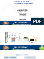 Tecnicas de Adn Electroforesis y Vectores