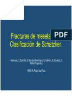 2015_794_PE_Musculoesqueletico.pdf