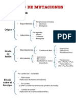 Tipos de mutación.pdf