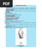 Maniobras de Leopold