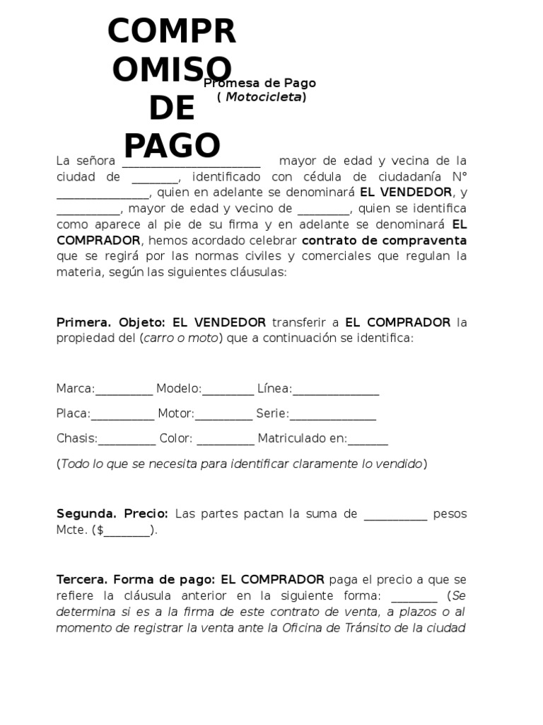 Promesa de Pago Gobierno Política