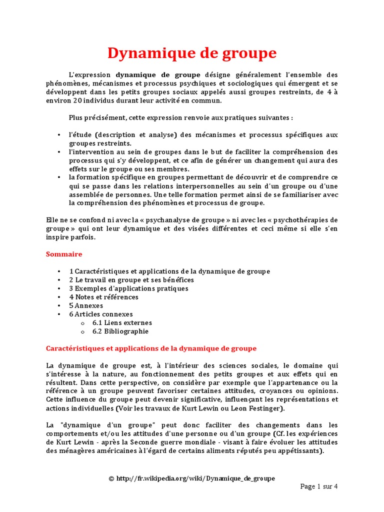 Dynamique de Groupe | PDF | Santé mentale | Psychiatrie