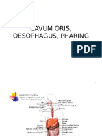 Cavum Oris, Oesophagus, Pharing