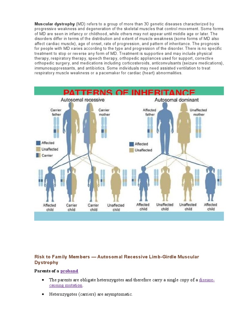 Muscular Dystrophy PDF Muscular Dystrophy