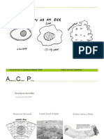 06 - Noi Fenomene Urbane - Ilinca Paun C PDF