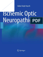 Ischemic Optic Neuropathies - S. Hayreh 