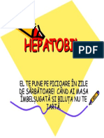 HEPATOBIL