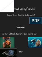 Smith Jellyfish