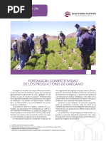 Ejemplo de Resumen Ejecutivo