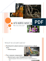Ayahuasca - English